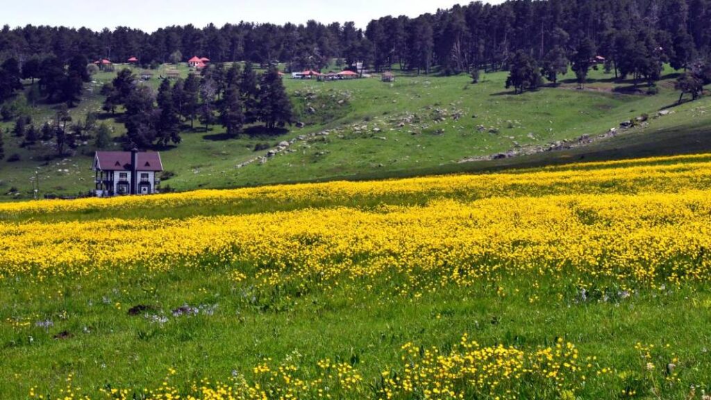 Artvin Çıkışlı 5 Gün Kutaisi ve Çevresi Kafkasya Yolu Rota (Uluslararası #21)