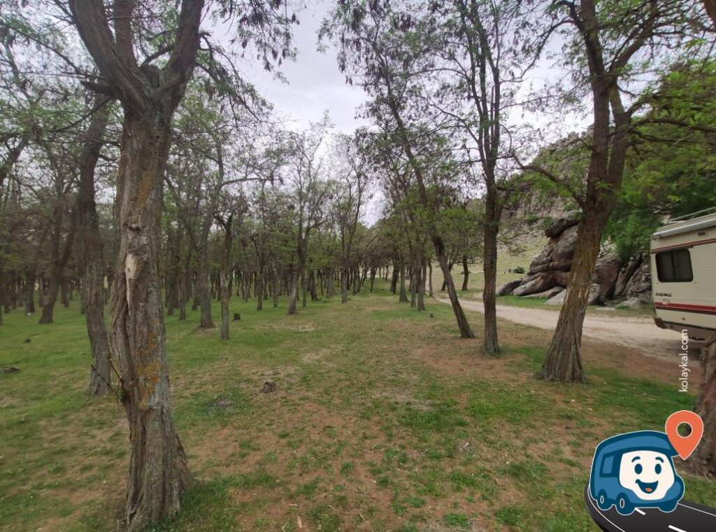 İzmir Çıkışlı 4 Gün Urla ve Çevresi Huzur Dolu Rota (#233)