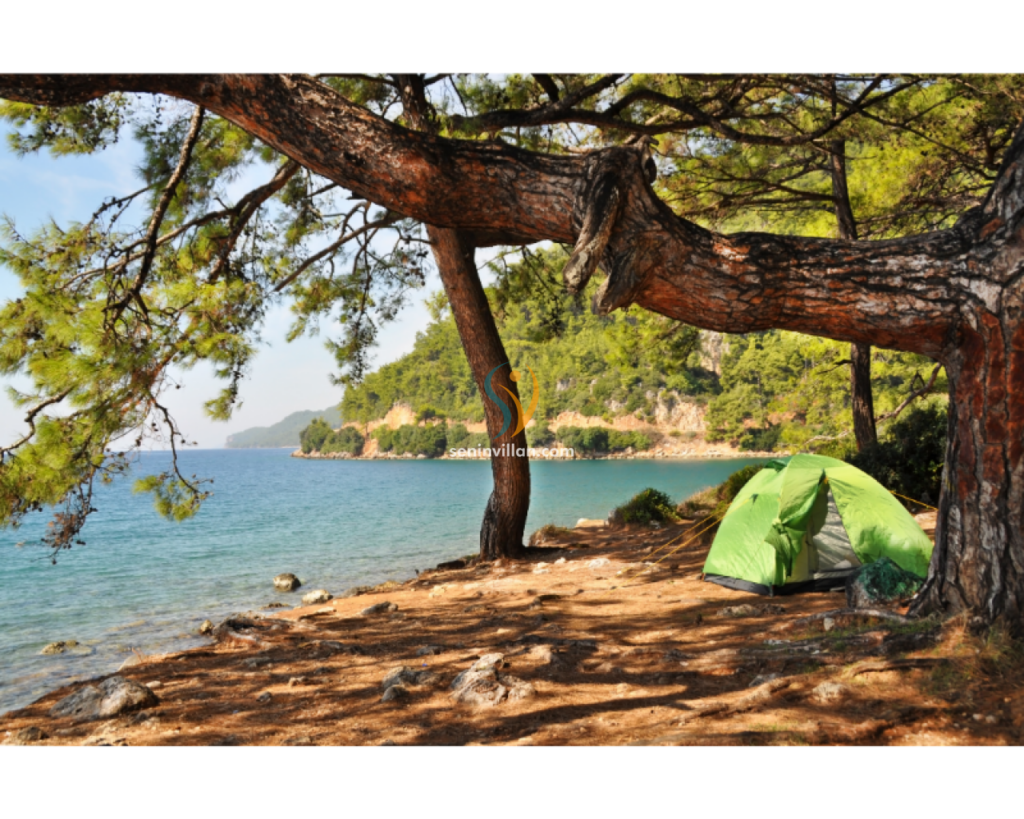 İzmir Çıkışlı 2 Gün Dalyan ve Çevresi Tarih Dolu Rota (#218)